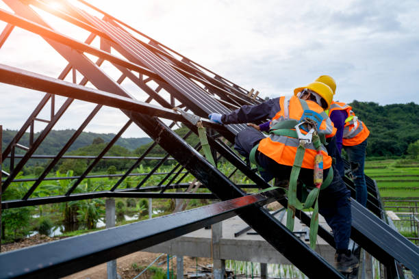 Best Roof Gutter Cleaning  in Edinburg, IL