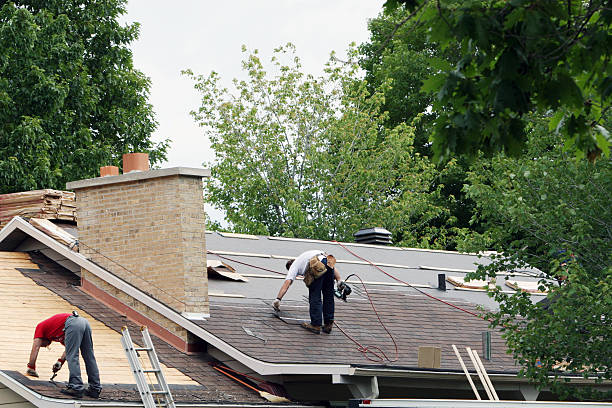Roof Waterproofing Services in Edinburg, IL