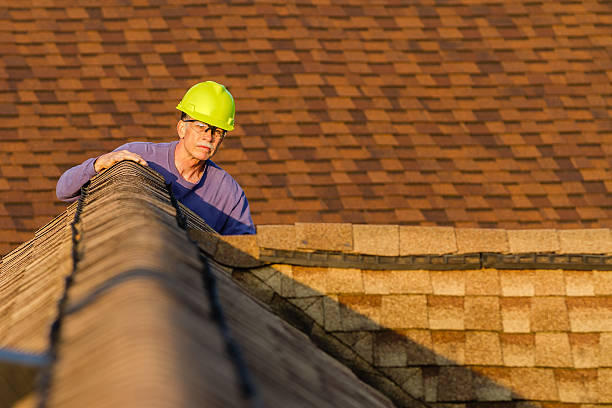 Best Gutter Installation and Roofing  in Edinburg, IL