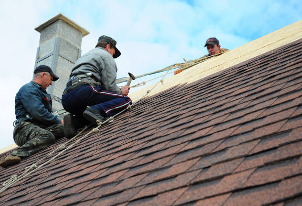 Best Roof Maintenance Services  in Edinburg, IL